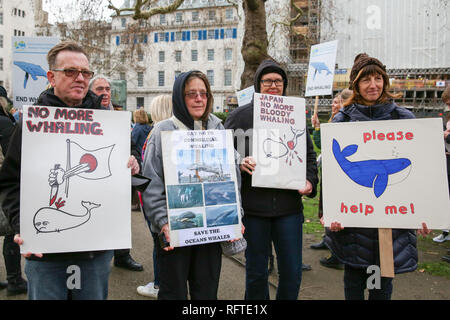 London, Großbritannien. 26. Januar, 2019. Demonstranten werden gesehen, Plakate während des Protestes gegen den japanischen Walfang in Central London. Credit: Dinendra Haria/SOPA Images/ZUMA Draht/Alamy leben Nachrichten Stockfoto