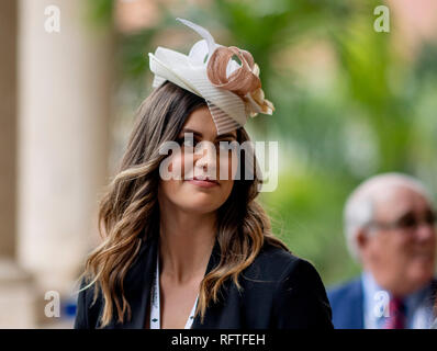 Florida, USA. 26. Januar 2019. Bei der Pegasus World Cup am Januar 26, 2019 at Gulfstream Park in Hallandale Beach, Florida. Scott SerioEclipse SportswireCSM/Alamy leben Nachrichten Stockfoto