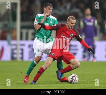 Bremen, Deutschland. 26 Jan, 2019. firo: 26.01.2019, Fußball, 1.Bundesliga, Saison 2018/2019 SV Werder Bremen - SG Eintracht Frankfurt Max Krruse vs Sebastian Rode | Verwendung der weltweiten Kredit: dpa/Alamy leben Nachrichten Stockfoto