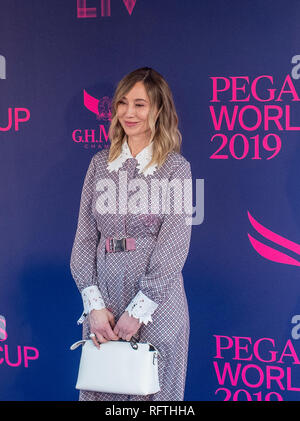 Florida, USA. 26. Januar 2019. Belinda Stronach auf der Pegasus World Cup am Januar 26, 2019 at Gulfstream Park in Hallandale Beach, Florida. John VoorheesEclipse SportswireCSM/Alamy leben Nachrichten Stockfoto