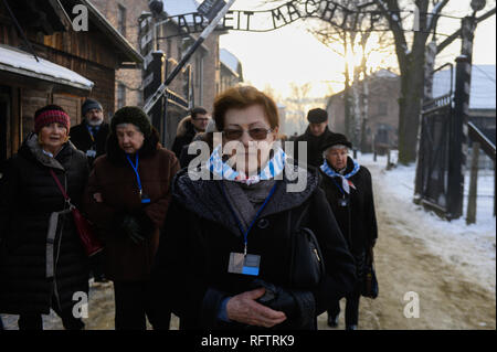 Oswiecim, Polen. 27 Jan, 2019. Auschwitz Überlebenden werden gesehen, überqueren die berühmte Tor an der Nationalsozialistischen Deutschen Vernichtungslagers Auschwitz-Birkenau während dem 74. Jahrestag der Befreiung von Auschwitz. Credit: Omar Marques/SOPA Images/ZUMA Draht/Alamy leben Nachrichten Stockfoto