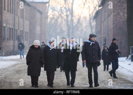 Oswiecim, Polen. 27 Jan, 2019. Auschwitz Überlebenden werden gesehen, um die offizielle Zeremonie an der Nazi-deutschen Vernichtungslagers Auschwitz-Birkenau während dem 74. Jahrestag der Befreiung von Auschwitz teilnehmen. Credit: Omar Marques/SOPA Images/ZUMA Draht/Alamy leben Nachrichten Stockfoto