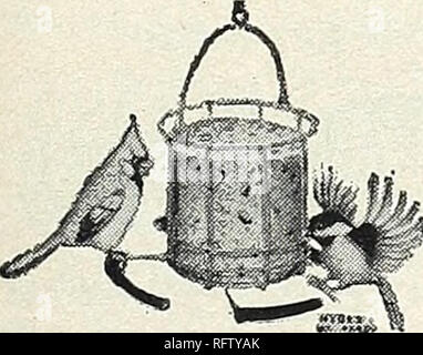 . Capitol City Samen für 1961. Baumschulen (Gartenbau) Kataloge, Leuchtmittel (Pflanzen) Kataloge Kataloge; Gemüse; Garten Werkzeuge Kataloge; Samen Kataloge. Gewartet werden, kostengünstige, hängender Einzug aus robustem, schlagfestem Kunststoff ausgelegt. Klare Sicht Saatgut Behälter Schlösser mit Easy twist Maßnahmen aufbauen. Rund-um-Barsch. Ade- Drainage. Leitblech oben. CL55. Kunststoff hängenden Einzug. $ 1.39. Die bratrost einen idealen Zubringer ir Kardinäle, Blue Jays, catbirds, Mock-ingbirds usw. Vogel overs befürwortet. ndividuallv geboxt. 4a. Gl. $ 1.98. Bird's Abendessen Eimer Antworten pop-ular Forderung nach einem "hängen kann - whe Stockfoto