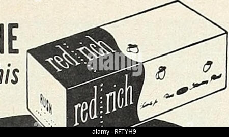 . Capitol City Samen für 1961. Baumschulen (Gartenbau) Kataloge, Leuchtmittel (Pflanzen) Kataloge Kataloge; Gemüse; Garten Werkzeuge Kataloge; Samen Kataloge. Eine Erdbeere Garten dieses Jahr!. Original nur in diesem Karton rot reichen EVERBEARING ERTRAG: mit Obst geladen. Ernte nach dem Erntegut im ersten Jahr. Pick'em durch frühzeitige's fall Frost. Größe: Mammut pflanzen, schöne ber-ries. In der Universität test Rote Reich erwies sich als beste von Zwanzig - neun Sorten. Die große everbearing Erdbeere, dass hat alles Geschmack: Rot Reich verbannt Doul, dass everbearers nicht süß sein. Che voll von echten, Honig - süßes St Stockfoto