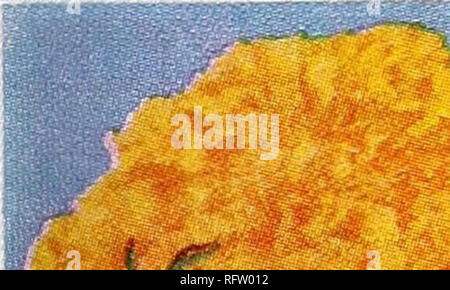 . Capitol City Samen für 1961. Baumschulen (Gartenbau) Kataloge, Leuchtmittel (Pflanzen) Kataloge Kataloge; Gemüse; Garten Werkzeuge Kataloge; Samen Kataloge. .#%&Gt;". ' £% -&amp; "^t% v^Vr ZINNIA, Sonnenschein Tönungen. Pkt. 15 C. Ringelblume, ALLERWELTSKERL. Pkt. 25C. Ringelblume, SPUN GOLD. Pkt. 25C. AAS 1960 Sieger AESCHYNANTHUS, BLUE MINK Pkt. 35 C. COLEUS, RAINBOW MISCHUNG. Pkt. 35 c. Bitte beachten Sie, dass diese Bilder sind von der gescannten Seite Bilder, die digital für die Lesbarkeit verbessert haben mögen - Färbung und Aussehen dieser Abbildungen können nicht perfekt dem Original ähneln. extrahiert. F. W. Bolgi Stockfoto