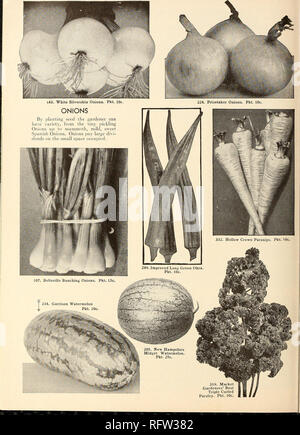 . Capitol City Seeds: 1952. Baumschulen (Gartenbau) Kataloge, Leuchtmittel (Pflanzen) Kataloge Kataloge; Gemüse; Garten Werkzeuge Kataloge; Samen Kataloge. . Bitte beachten Sie, dass diese Bilder sind von der gescannten Seite Bilder, die digital für die Lesbarkeit verbessert haben mögen - Färbung und Aussehen dieser Abbildungen können nicht perfekt dem Original ähneln. extrahiert. F. W. Bolgiano&amp; Co; Henry G. Gilbert Baumschule und Saatgut Handel Katalog Kollektion. Washington, D.C.: F. W. Bolgiano Stockfoto