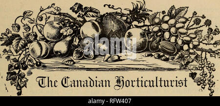 . Die kanadische Gärtner. Fruit Growers' Association von Ontario; Obst - Kultur. Abonnement Preis, $ 1,00 pro Jahr und berechtigt die Teilnehmer zur Mitgliedschaft in der Fruit Growers' Association von Ontirio und alle ihre Privilegien, einschließlich einer Kopie seiner wertvollen Jahresbericht, und ein Anteil 3 jährliche Verteilung von Pflanzen und Bäumen, Überweisungen von ten Reg's Brief auf unsere Gefahr sind. Die Einnahmen werden auf dem Adressaufkleber quittiert werden. ^^sfotes ai) d (fonr) n) er) t<?. Die Diana Traube. - Der Name der Einführhilfe dieser Traube, Seite 194, sollte "Frau Diana Crehore" und nicht&qu Stockfoto
