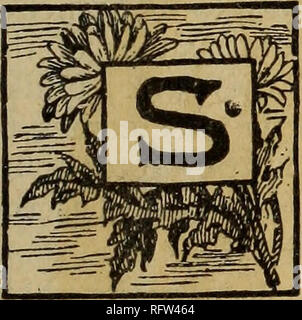 . Die kanadische Gärtner. Fruit Growers' Association von Ontario; Obst - Kultur. Die talman süß.. Einige unserer Leser können uns in solche Prominenz in dieser Zeitschrift zu kritisieren, eine alte Sorte von Apple, die wenig oder keinen Marktwert in Kanada hat. Aber die Tal-mann Süß hat großen Wert als Nahrung für Lager; das Essen ist besser gewachsen als Karotten, und zeichnet sie als Nahrung für unsere Pferde. Im Haus ist es von vielen Menschen als Dessert apple taxiert, und diejenigen, die gerne Brot und Milch sind wird es eine köstliche, gesunde Artikel der Diät, wenn erste gut gebacken in Stockfoto