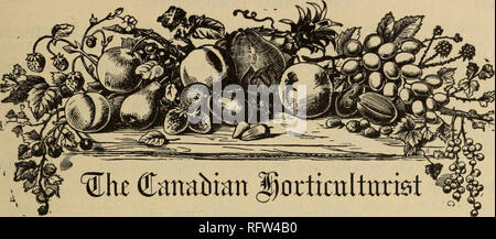 . Die kanadische Gärtner. Fruit Growers' Association von Ontario; Obst - Kultur. Abonnement Preis, $ 1,00 pro Jahr und berechtigt die Teilnehmer zur Mitgliedschaft in der Fruit Growers' Association von Ontario und alle ihre Privilegien, einschließlich einer Kopie seiner wertvollen Jahresbericht und einen Anteil an den jährlichen Verteilung der Pflanzen und Bäume, die Überweisungen durch eingeschriebenen Brief sind auf unsere Gefahr. Die Einnahmen werden auf dem Adressaufkleber quittiert werden. Die französischen Vertrag scheint über ratifiziert werden, ungeachtet all unsere Appelle. Ein Ausschuss unseres Vereins, bestehend aus A. H. Pettit, von Grimsby, Alex. Mc Stockfoto