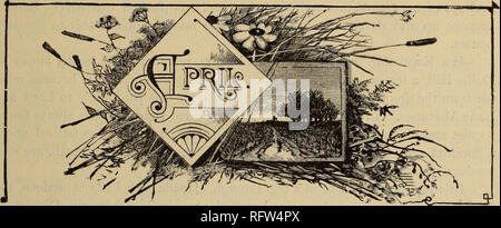 . Die kanadische Gärtner. Fruit Growers' Association von Ontario; Obst - Kultur. Die kanadische Gärtner Vol. XVII. 1894. Nr. 4.. Bitte beachten Sie, dass diese Bilder sind von der gescannten Seite Bilder, die digital für die Lesbarkeit verbessert haben mögen - Färbung und Aussehen dieser Abbildungen können nicht perfekt dem Original ähneln. extrahiert. Fruit Growers' Association von Ontario. St. Catherines [Ontario. ]: Fruit Growers' Association von Ontario Stockfoto