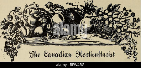 . Die kanadische Gärtner. Fruit Growers' Association von Ontario; Obst - Kultur. Kopie für die Zeitschrift sollte der Editor so früh im Monat wie möglich, nicht später als dem 12. erreichen. Es "Sollte bis L. Woolverton, Grimsby, Ontario angesprochen werden. Abonnement Preis, $ 1,00 pro Jahr und berechtigt die Teilnehmer zur Mitgliedschaft in der Fruit Growers' Association von Ontario und alle ihre Privilegien, einschließlich einer Kopie seiner wertvollen Jahresbericht und einen Anteil an den jährlichen Verteilung von Pflanzen und Bäumen. Überweisungen per Einschreiben oder Post-Of B e uraer gerichtet Fsme-Sekretär der Obstbauern' ein Stockfoto
