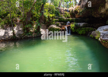 Oase im Isalo Nationalpark, ihorombe Region, im Südwesten von Madagaskar, Afrika Stockfoto