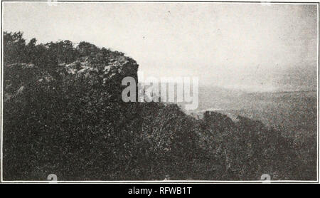 . Der Carnegie Institution in Washington Publikation. AC R I D I I. ABB. I. - Escarpment rim ledge Lebensraum von Trimerotropis saxatilis, Zeitschrift Berg, Arkansas. (Suche nach Nordwesten über Arkansas River Valley.). Bitte beachten Sie, dass diese Bilder sind von der gescannten Seite Bilder, die digital für die Lesbarkeit verbessert haben mögen - Färbung und Aussehen dieser Abbildungen können nicht perfekt dem Original ähneln. extrahiert. Der Carnegie Institution in Washington. Washington, der Carnegie Institution in Washington Stockfoto