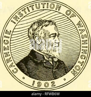 . Der Carnegie Institution in Washington Publikation. REVISION DES PELYCOSAURIA VON NORDAMERIKA DURCH E.C... WASHINGTON, DC VERÖFFENTLICHT VON DER CARNEGIE INSTITUTION IN WASHINGTON JULI 1907.. Bitte beachten Sie, dass diese Bilder sind von der gescannten Seite Bilder, die digital für die Lesbarkeit verbessert haben mögen - Färbung und Aussehen dieser Abbildungen können nicht perfekt dem Original ähneln. extrahiert. Der Carnegie Institution in Washington. Washington, der Carnegie Institution in Washington Stockfoto