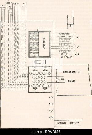. Der Carnegie Institution in Washington Publikation. 133 Eine Atmung Kalorimeter. Elektrische Anschlüsse AM TABI. E. Die Regelung der verschiedenen elektrischen Verbindungen auf die Tabelle, in der sich der Betrachter ist in Abbildung 38 gegeben. OOOOO o oooo OOOO OOOOO c o m O O. Abb. 38.- Elektrische Anschlüsse auf dem Tisch des Beobachters. Alle elektrischen Anschlüsse sind für Con-venience, brachte an den Tisch des Beobachters. Der Regler steuert die Heizkreise, die Mercury Switch, die thermische Kreuzungen und Thermometer Schaltungen und, am Recht, Anschlüsse für Akku für den Einsatz in elektrischen prüfen Experimente und für Stockfoto