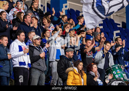 ZAGREB, KROATIEN - 30. Dezember 2018: EBEL Eishockey Liga Match zwischen Medvescak Zagreb und KAC. Hockey Fans auf der Tribüne Stockfoto
