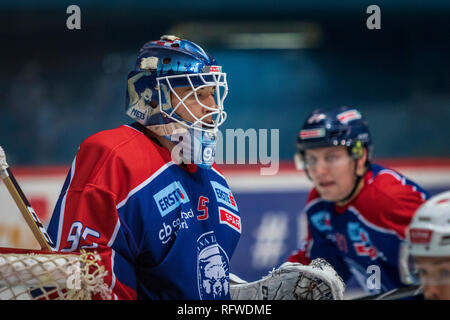 ZAGREB, KROATIEN - 30. Dezember 2018: EBEL Eishockey Liga Match zwischen Medvescak Zagreb und KAC. Hockey goalie. Stockfoto