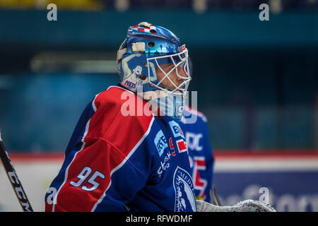 ZAGREB, KROATIEN - 30. Dezember 2018: EBEL Eishockey Liga Match zwischen Medvescak Zagreb und KAC. Hockey goalie. Stockfoto