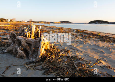 Popham Beach State Park in Phippsburg, Maine USA bei Sonnenaufgang in den Frühlingsmonaten. Popham Beach State Park ist in der Nähe von Fort Popham entfernt. Stockfoto