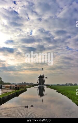 Zwei Enten schwimmen leise vor der berühmten Mühle von Stompwijkse Vaart, in der Nähe von Den Haag, Holland, in der noch Mühle Teich, oder Polder wider. Stockfoto