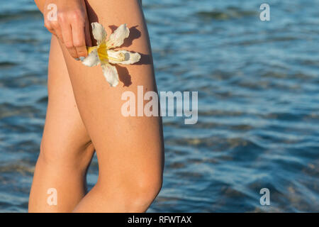 Weiße Blumen frangipani in Frauenhand gegen das Meer, Strand und blauer Himmel. Tropische Blumen Plumeria am Strand. Meer Hintergrund. Konzept ein Stockfoto