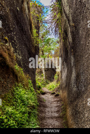 Felsenlabyrinth, Asilo de la Paz, Hochland der Insel Floreana (Charles), Galapagos, UNESCO-Weltkulturerbe, Ecuador, Südamerika Stockfoto