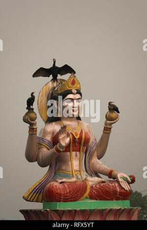 Indische Kormoran auf der hinduistischen Gottheit Skulptur auf dem Ganges Haridwar, Uttarakhand, Indien gehockt Stockfoto