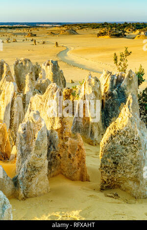 Pinnacles Wüste der Nambung Nationalpark, Western Australia Stockfoto