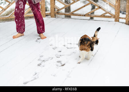 Junge Frau vermietung Calico Katze draußen mit Beinen barfuß draussen auf Haus Deck im Schnee Wetter im Winter mit Footprints Stockfoto