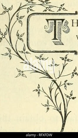 . Die kanadische Gärtner [monatlich], 1893. Gartenarbeit; Kanadische Zeitschriften. Die kanadische Gärtner. 93 DIE SÄGE schärfen oder ACADIAN EULE,. i J â â [; seine (listrn ich ist bemerkenswert Tor der manv verschiedene Arten von Eulen, die es häufig. Elf verschiedene Arten Orni-thologists hier. Einige von Ihnen sind fast so groß wie Adler, und gelegentlich Verwüstung spielen mit unseren heimischen Vögeln, wenn rastplätze auf Bäume im Herbst des Jahres. Andere Arten sind sehr klein, und leben vor allem auf kleinen Ungeziefer. Die Säge - Geschmack ist die kleinste der Eulen, vielleicht der Kleinste von allen Raubvögeln w Stockfoto