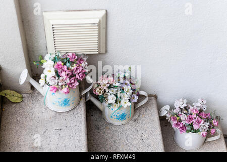 Nahaufnahme der Dekorative Blumentöpfe auf Schritte zur Wohnung Haus in London, Großbritannien mit Blumensträuße pflanzen Anordnung und Gießkannen Stockfoto