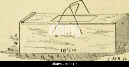 . Die kanadische Gärtner [monatlich], 1892. Gartenarbeit; Kanadische Zeitschriften. Ta. 6 s .. Fk;. Git.. Bitte beachten Sie, dass diese Bilder sind von der gescannten Seite Bilder, die digital für die Lesbarkeit verbessert haben mögen - Färbung und Aussehen dieser Abbildungen können nicht perfekt dem Original ähneln. extrahiert. St. Catharines, E.S. Leavenworth Stockfoto