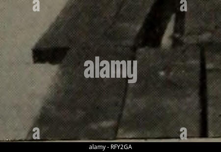 . Kanadische Forstindustrie 1911. Holzschlag; Wälder und Forstwirtschaft; Wald; Wald - zellstoffindustrie; Holz verarbeitenden Industrien. Panoramablick auf Anlage Cleveland-Sarnia sah die Mühlen Firma, F und Effizienz., der eine läuft die größeren Mühle, 24 x 42 cm groß. Die gesamte Kraftwerkstechnik wurde von John Inglis &Amp; Söhne, von Toronto, Ontario die Kartonfabrik mit zwei allis-chalmers Single Cut-ting band Mühlen ausgestattet ist eingerichtet. Die allgemeinen Sägewerk Ausrüstung ist von der gleichen Firma und umfasst alle seine modernsten Sägewerk Ausrüstung in der Weise der Kutschen, Schnittholz, Planer, Deck anmelden Stockfoto