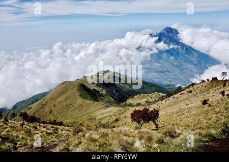 Mount Merbabu Wandererlebnis Stockfoto