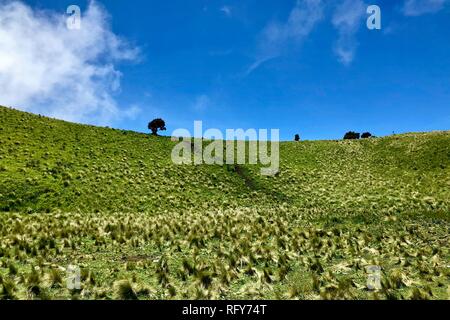 Mount Merbabu Wandererlebnis Stockfoto