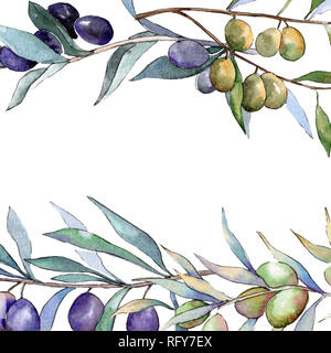 Grüne und schwarze Oliven. Aquarell Hintergrund Abbildung. Rahmenlinie ornament Quadrat. Stockfoto
