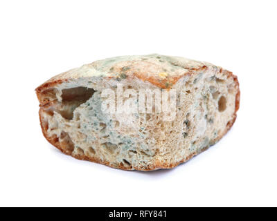 Verschimmeltes Brot isoliert auf weißem Stockfoto