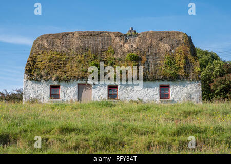Verlassenen Hof Haus auf der irischen Insel. Weiße Wände grasbewachsenen Dach auseinander. Die Erfassung auf einem blauen Himmel. Stockfoto