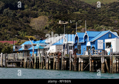 Die kommerzielle Steg oder Pier im Hafen von Akaroa, Neuseeland. Stockfoto