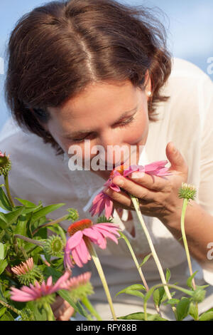 Echter Bauer Frau in coneflower Feld Stockfoto