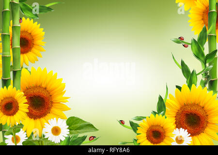 Spring floral background mit marienkäfern und Copyspace Stockfoto