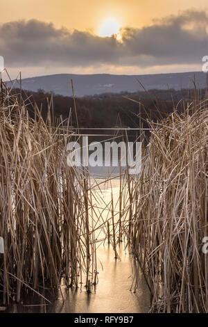 Einstellung Sonne durch Vordergrund Schilf und Ablegen von goldenen Sonnenstrahlen auf gefrorenen, reflektierenden See Eis und Wasser Stockfoto