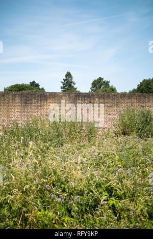 Außerhalb des Tudor ummauerten Garten im Palast des Bischofs in Fulham, London Stockfoto