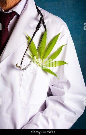 Arzt mit einer Marihuana blatt Nahaufnahme Stockfoto