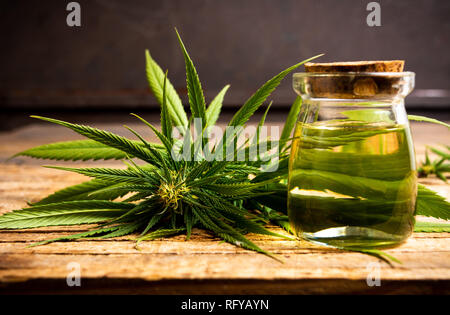 Marihuana Pflanze mit Knospen und ätherisches Öl auf einem Holztisch Stockfoto