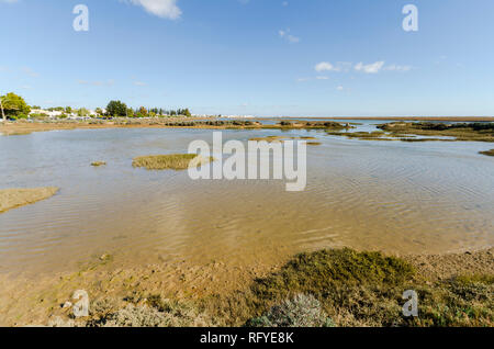 Ria Formosa Natural Park, in der Nähe der Santa Luzia, Barril Strand, Algarve, Portugal, Europa. Stockfoto