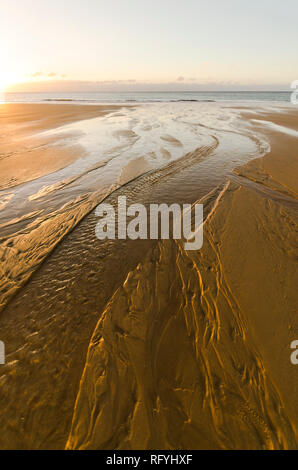 Ebbe bildende Überschwemmungen, Feuchtgebiete, am Strand, Atlantik, bei Sonnenuntergang, Sonnenaufgang, Algarve, Portugal, Europa Stockfoto