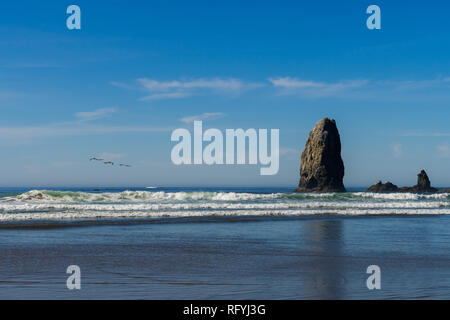 Möwen über den Ozean in Richtung der senkrechten Felsen, die in Cannon Beach, Oregon, USA. Stockfoto