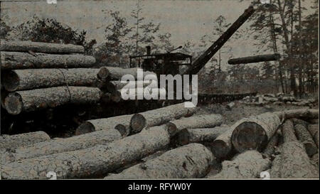 . Kanadische Forstindustrie 1911. Holzschlag; Wälder und Forstwirtschaft; Wald; Wald - zellstoffindustrie; Holz verarbeitenden Industrien. Unterhalt Kosten ein wesentlicher Punkt angesehen werden beim Kauf eines STEAM LOG LOADER. Nur 2,50 $ ein Jahr für Reparaturen an den oben genannten "amerikanischen" LOG LOADER, ständig im Einsatz für vier Jahre. In dieser Zeit 40.000 ft geladen. von Protokollen täglich, außer das, viel außerhalb der Arbeit, wie Rammen - Abholung Wracks - Verschieben von tragbaren Camp Häuser, und vieles Verschiedenes Heben. (Unsere nächsten Ad. wird Sie interessieren.) AMERICAN HOIST & Amp; DERRICK FIRMA ST. PAUL, MIN. Stockfoto