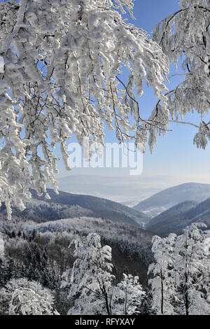 Winter, Schnee, Schnee, Bäume, Wald, Outdoor, Natur, Wald, Landschaft, Schlesien, Polen, kalt, Abdeckung, Crystal, Dezember, Erste, Wald, Freeze, Frost, Stockfoto